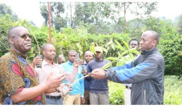 TMF delivers seedlings for tree planting campaigns in Schools.